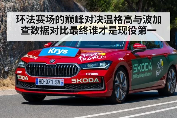 环法赛场的巅峰对决温格高与波加查数据对比最终谁才是现役第一